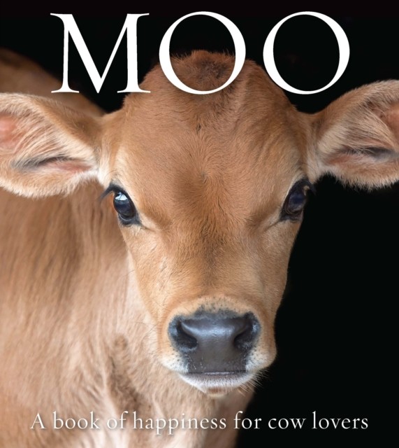 Moo by Angus St John Galloway - - Image 2
