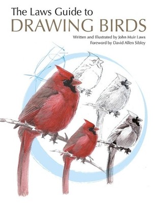 John Muir Laws The Laws Guide to Drawing Birds (Paperback)