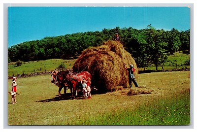 #ad Farm Harvesting Scene Greetings From Victory Wisconsin WI Postcard $4.48