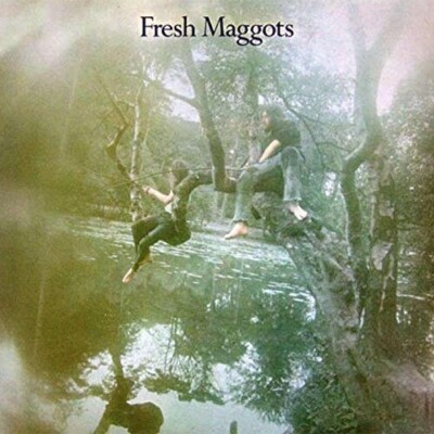 Fresh Maggots   Fresh Maggots ( UK 1971 ) vinyl LP reissue-Sunbeam label-2024
