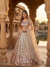 Designer Butterfly Net Beige Lehenga Choli With Dupatta For Indian Wedding Wear