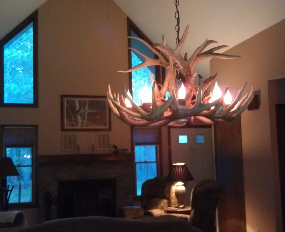 真正的 ANTLER WHITETAIL DEER CHANDELIER,8 灯,TROPHY 尺寸 ANTLERS,LAMPS — 第 3/4 张图片
