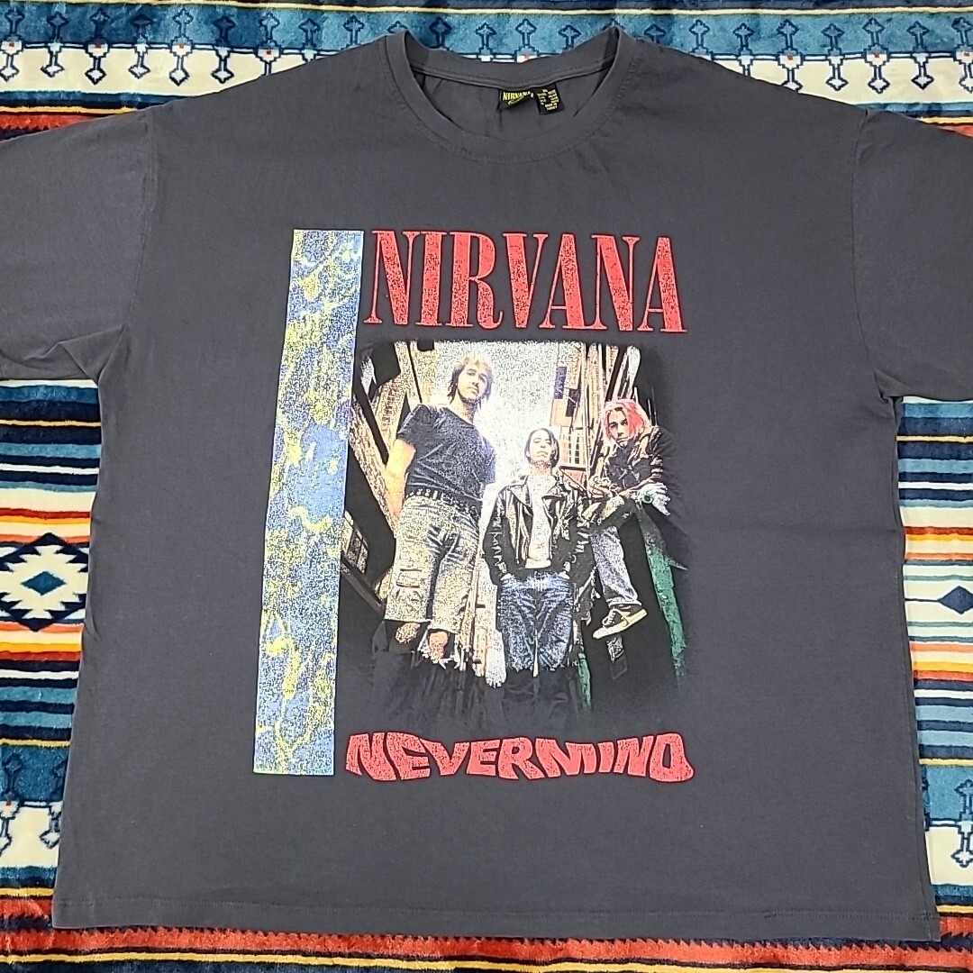 Nirvana Official Merch Nevermind Distressed Graphic T Shirt Grey 