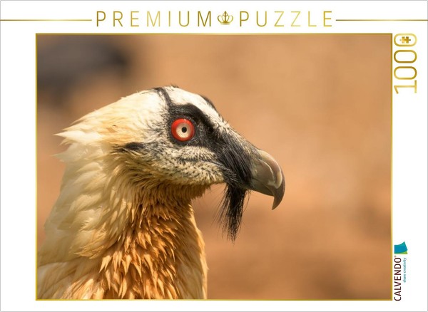 Calvendo Puzzle Portrait Of The Bearded Vulture | 1000 Pieces, Finished Size 25.-image