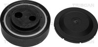 Triscan Spannrolle, Keilrippenriemen 8641 291005 FüR Audi Skoda VW