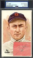 Detroit Tigers Collecting and Fan Guide 75