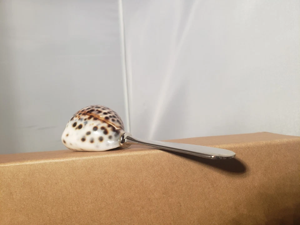 MUD PIE Cypraea Tigris Shell Spreader Knife Stainless Steel - Image 3 of 4