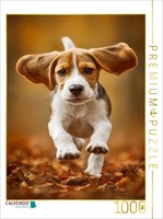 Puzzle Calvendo Un Motif Du Calendrier Best Friends Forever | 1000 PièCes, Forma