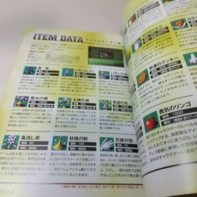 Shining the Holy Arc Sega Saturn Game & Strategy Guide 1996