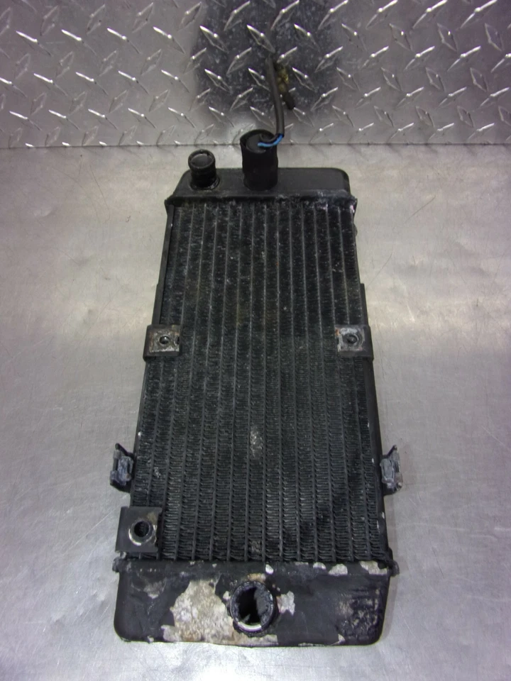 638 A KAWASAKI VULCAN EN 500 EN500 2006 RADIADOR OEM Foto 3 de 4