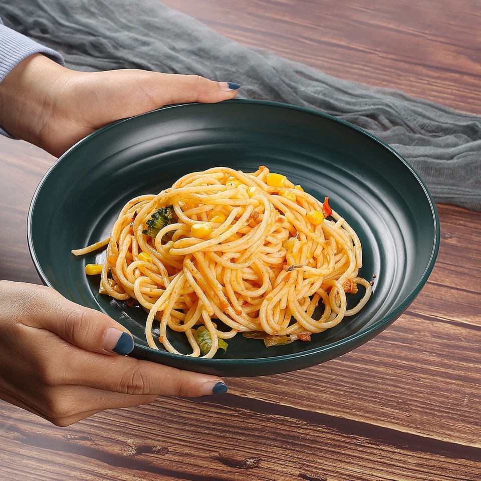 Lightweight Plastic Plates 4 Pack 10'' Unbreakable Dinner Plates