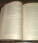 Picture 9 of 12