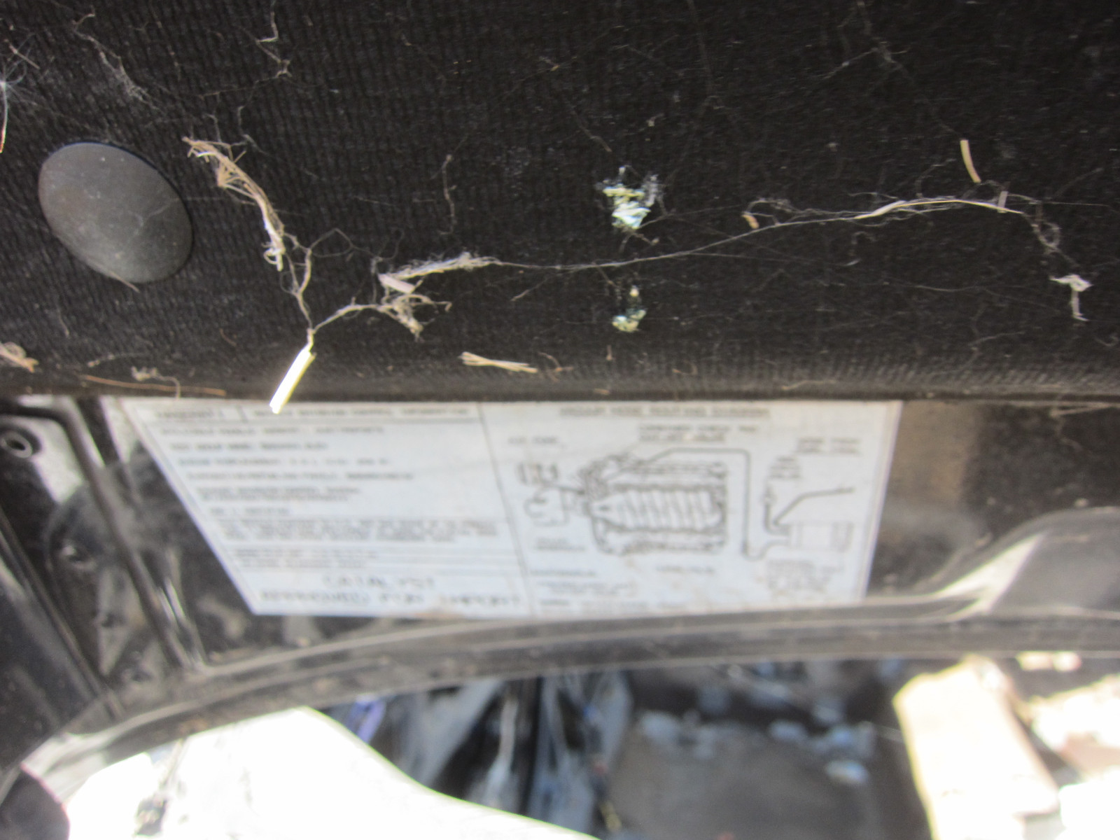 Maserati Quattroporte - Front Bonnet - Hood / Black - P/N 67213600