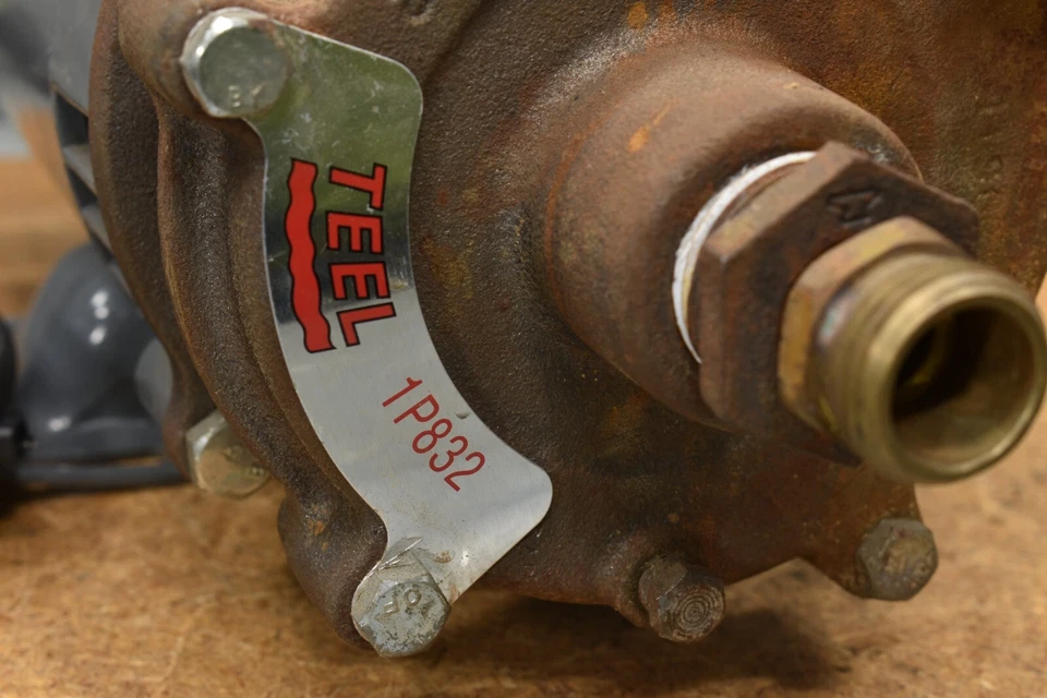 Teel 1P832, Straight Centrifugal Pumps, 1″ x .75″ Cast Iron, 1/2 HP, 3450 RPM - Image 3 of 4