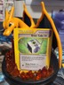 Grass Cube 01 Pokémon TCG Aquapolis 124/147