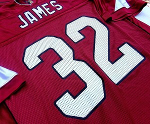 edgerrin james miami jersey