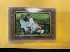 2020 Upper Deck Goodwin Champions Cat Collection Birman Patch Card FC-17