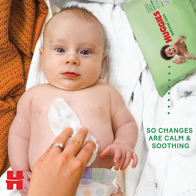 sukkulente hnlich aloe vera Aloe vera  Rosetten-Sukkulente kaufen