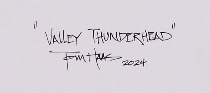 TOM HAAS painting 'Valley Thunderhead' oil 12"x16" Monument Valley Arizona cloud - Image 2 of 2