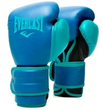 Everlast PowerLock 2R Training Hook & Loop Boxing Gloves 16 Oz - Blue *NEW*