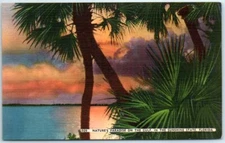 Postcard - Nature's Paradise On The Gulf, In The Sunshine State, Florida