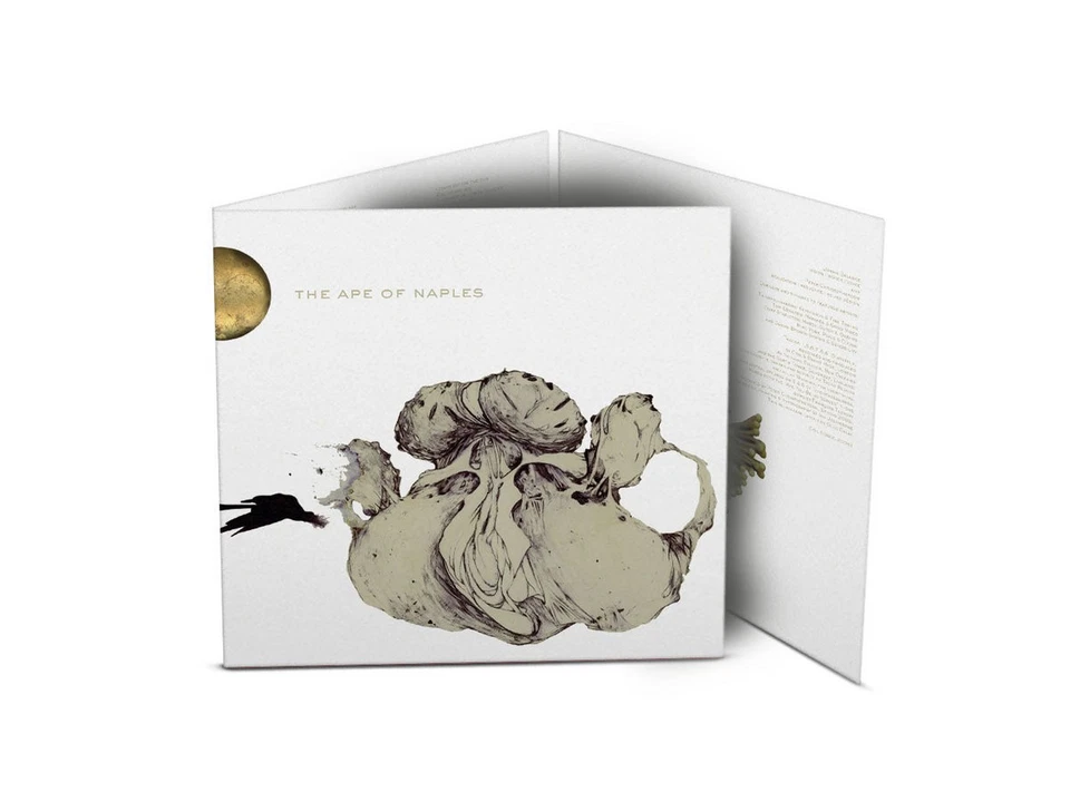 Coil The Ape of Naples (Vinyl) Expanded  12" Album Coloured Vinyl Box Set - Image 2 of 3
