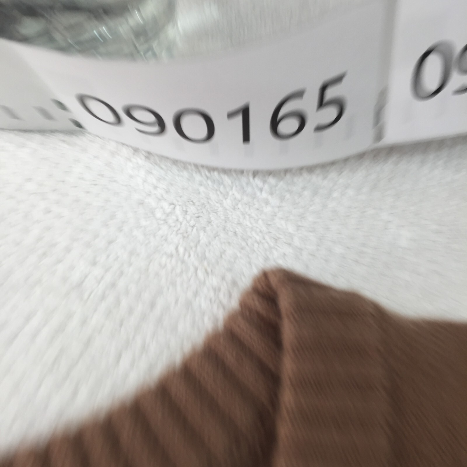 Bild 12 von 12