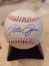 Philadelphia Phillies Collecting and Fan Guide 84