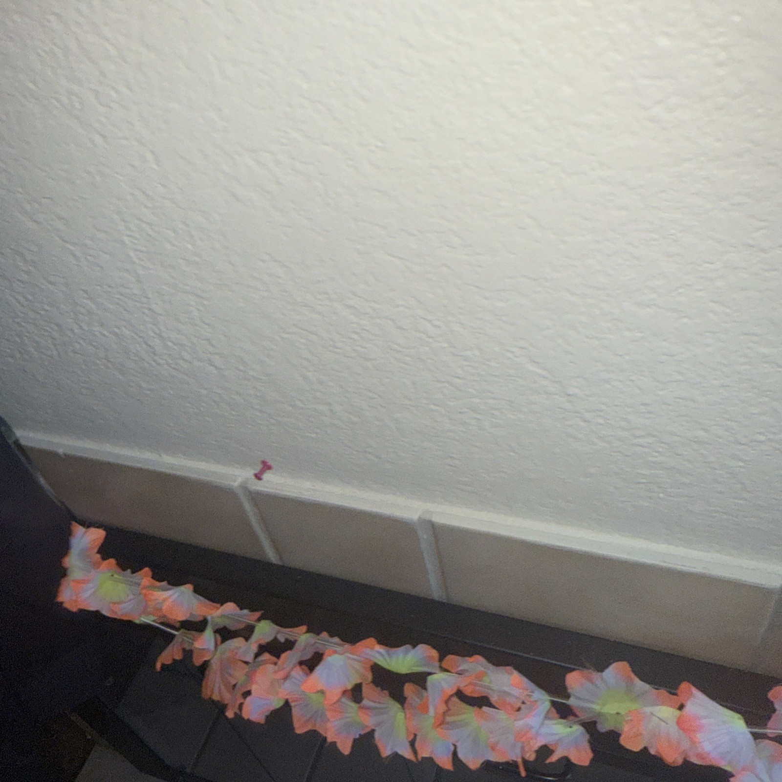 Bild 6 von 7