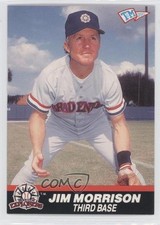 1989 T&M Senior Professional Baseball Association Box Set Jimmy Morrison #81 0w6
