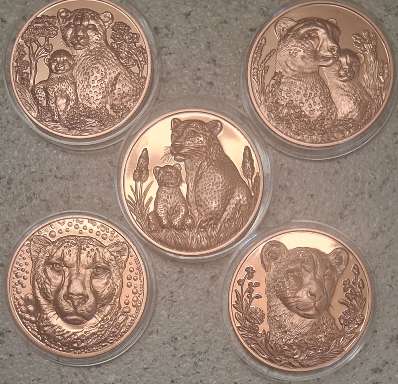 5 LEAPORD COINS TROY Oz BU COPPER ROUNDS  .999 FINE BULLION -3D HIGH-RELIEF CB