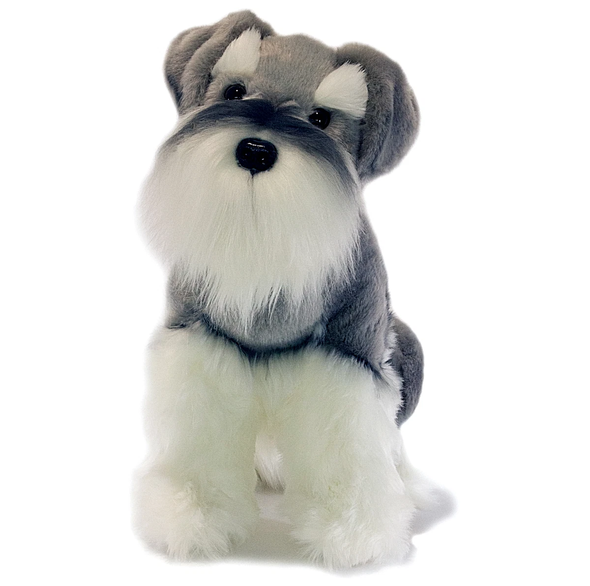 Miniature schnauzer cheap teddy