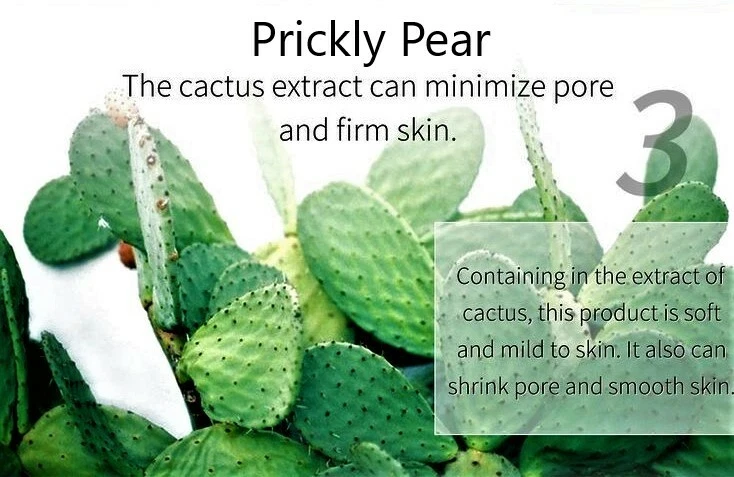 Almohadillas orgánicas para nodrizos de pera cactus 6 LG sin espinas  Foto 4 de 4