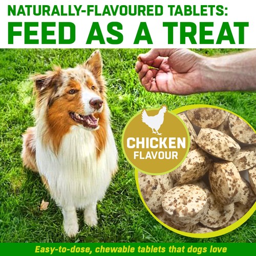 Multi-Vitamin Tablets For Dogs - Canivet 24 Daily Dog Vitamins & Minerals - Picture 8 of 9