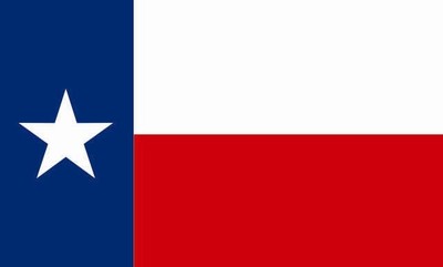 Miniflag Texas 10 x 15 cm Fahne Flagge Miniflagge