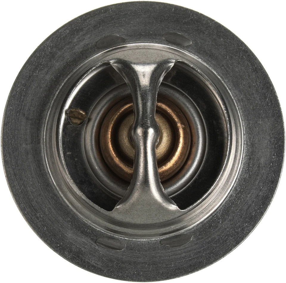 Portões termostato líquido refrigerante motor chassi despojado comercial Ford F-59 1994 - Imagem 4 de 4