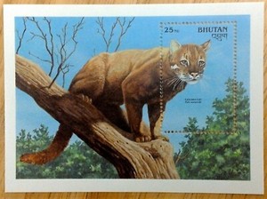 VINTAGE CLASSICS - Bhutan 1990 - Golden Cat - Souvenir Stamp Sheet Scott 934 MNH