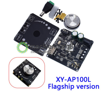 Dual 100W+100W TPA3116D2 Bluetooth5.0 Stereo Audio Digital Power Audio Amplifier