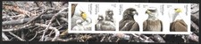 Scott #6086c IMPERFORATE (NO DIE-CUT) Bald Eagle Plate Strip of 5, MNH
