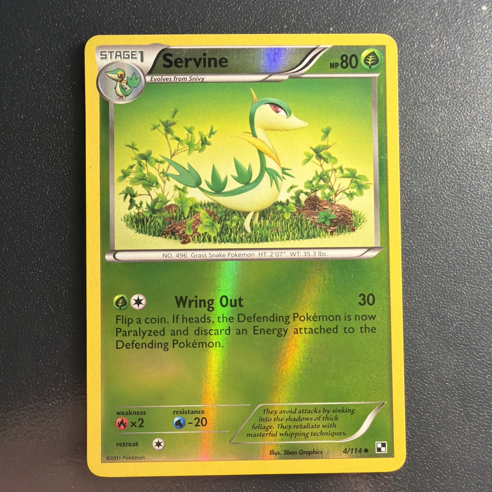 NM  Pokemon TCG - Servine 4/114 - Black & White Base - Reverse Holo 