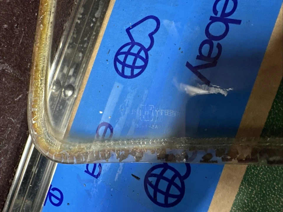 1947-1953 Chevrolet GMC Pickup Truck Right Left Windshield Glass Pair Original - Image 4 of 4