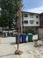 Vintage WW2 Hawaiian Curly Koa Burl Wood Tree Garden Art Liliokoloni Hawaii