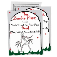 Zombie Plant Seed Packets – Grow a Live Sensitive Plant That Plays Dead When ...