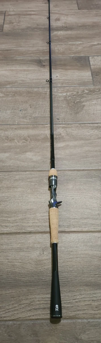 Daiwa Fiberglass Casting Rod Fishing Rods & Poles 1 Pieces for