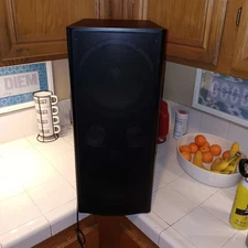 CANTON AS-30 powered Sub SUBWOOFER NICE 100W RMS