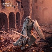 Barazan - Fighting with Sword - 28mm Heroic Siege of - Resin Tabletop Miniature