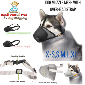 doberman mouth guard