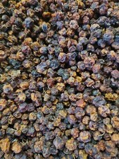 (15,95€/kg) Ebereschenbeeren 1 kg Vogelfutter Wildvogelfutter Beeren Eberesche