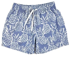 Chubbies The Thigh Napples Swim Trunks Mens Size Small 5.5" Mesh Lined Pineapple