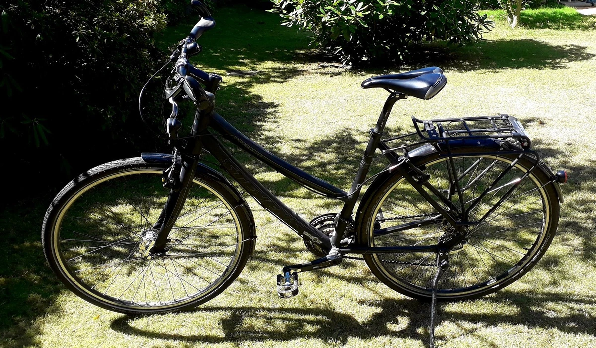 fahrrad mit rücktritt kaufen Velo de Ville KEB CLASSIC RT 20 Zoll blau | 800WH | E-Bike Kompakt Lechuza Aufbewahrungsmodul PILA Color Step-over Galaxy Hülle inkl. Adapterplatte (Modell):Galaxy S23